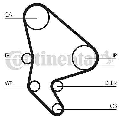 CT1063WP1 CONTINENTAL CTAM Water Pump & Timing Belt Set for CITROËN,FIAT,LANCIA, - Picture 2 of 3