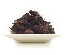 Indian Warrior - Potent - Pedicularis densiflora WARRIOR GRADE ALKALOID USA SHIP