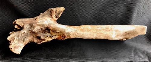 Lake Driftwood for AQUARIUM-SMALL REPTILE Or Crafts-Naturally Cleaned WOOD-15.5” - Picture 1 of 4