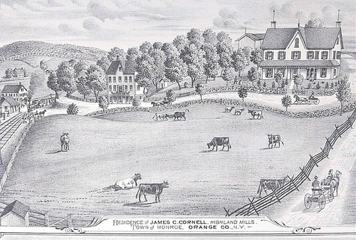 1875 Holz Stippelstiche, Monroe, NY, Orange County, 2 Farmen, Pferde Rinder - Bild 5 von 8