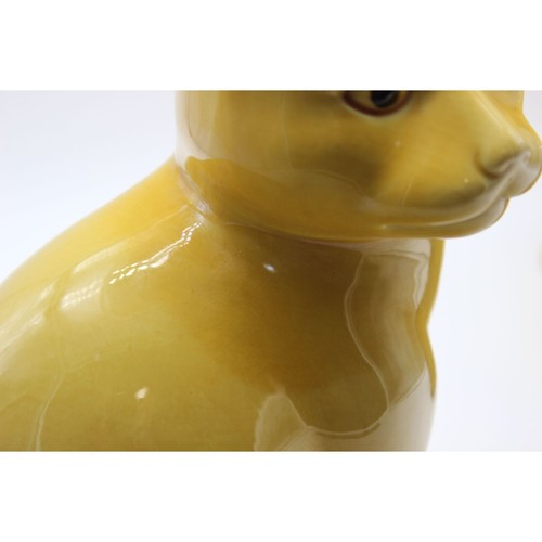 Chinese Imperial Export yellow glazed porcelain cats pair late 19th Century - Afbeelding 7 van 17
