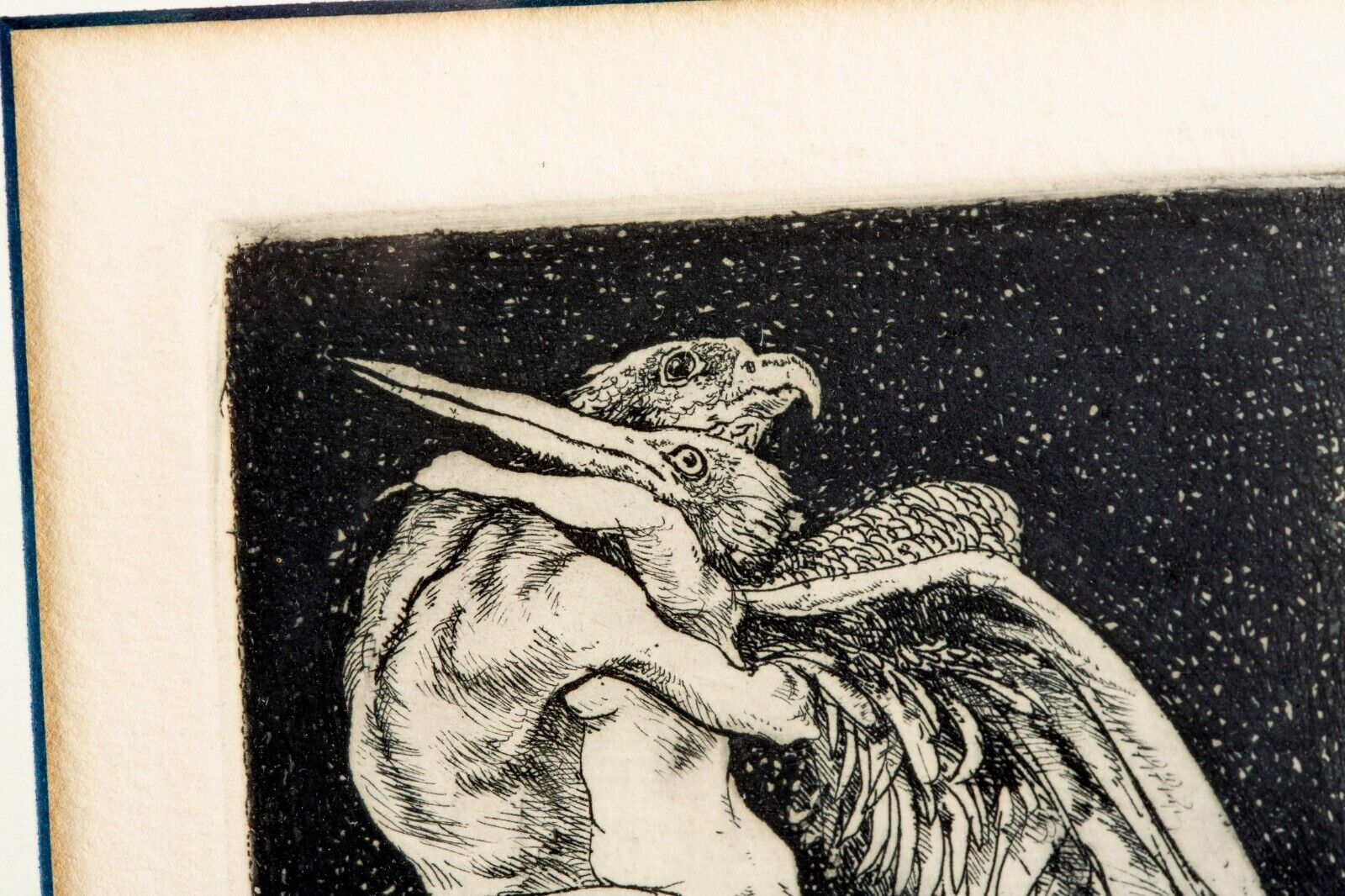 Picture 6 of 7
