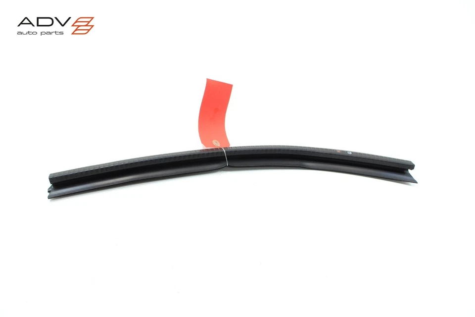 CHEVY COLORADO GMC CAÑÓN PUERTA TRASERA IZQUIERDA VENTANA INTERIOR RESISTENTE AL CLIMA 2023-2025 OEM Foto 3 de 4