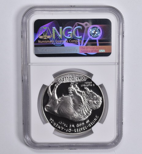 Proof 9.9 2001-P Buffalo Commemorative Dollar NGC X NGCX *1865 - Picture 2 of 5