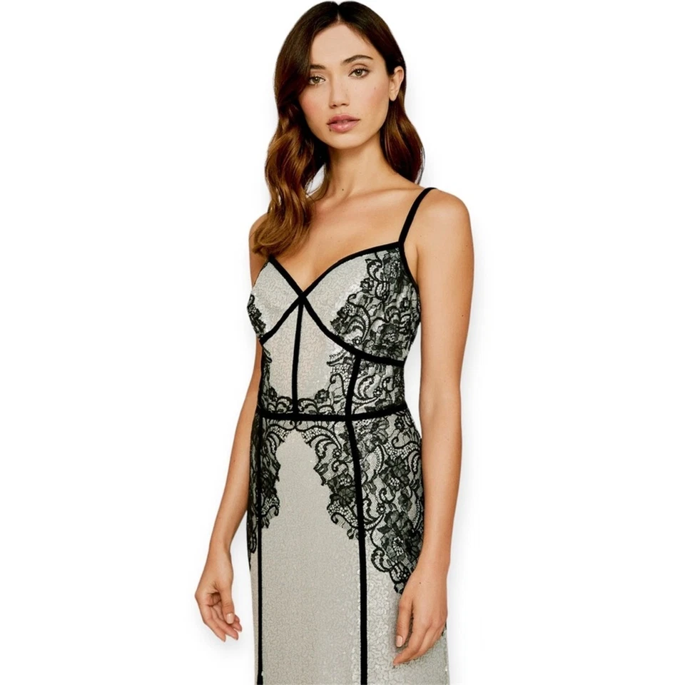 全新带标签 $639 Tadashi Shoji 女式 Janus 蕾丝亮片金属长裙,尺寸 8 — 第 2/4 张图片