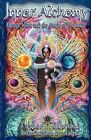 Inner Alchemy: Energy Work and the Magic of the Body by Taylor Ellwood (Paperback, 2007)