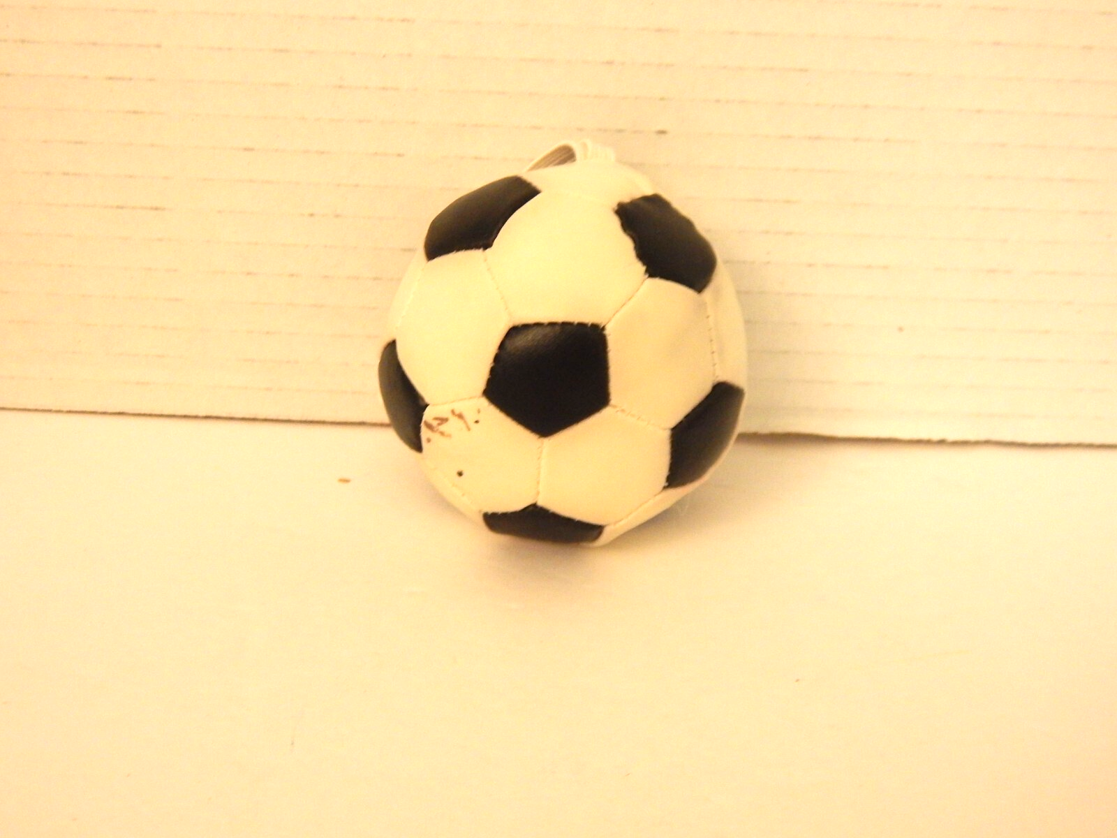 Bild 5 von 6