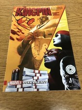 Kingpin Born Against Marvel Graphic Novel Comic Book