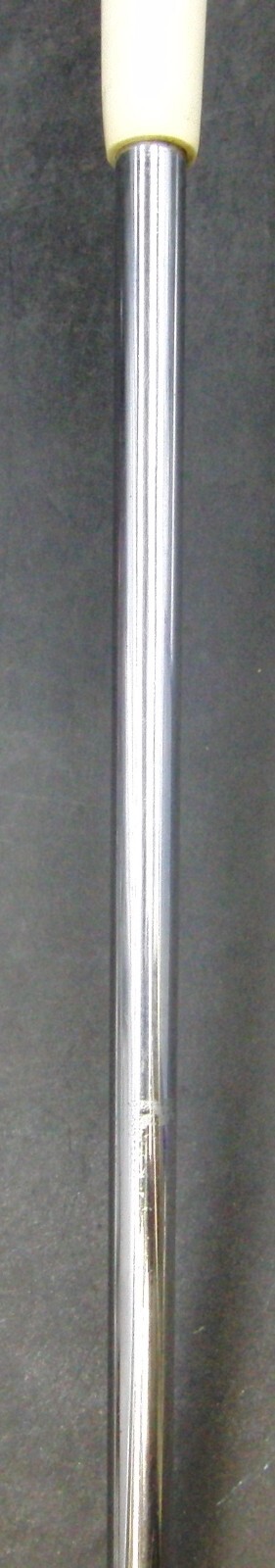 Picture 11 of 11