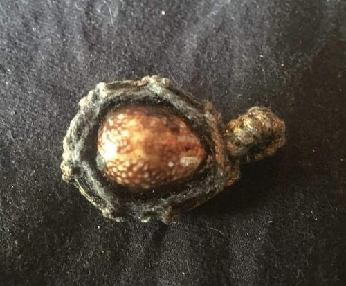 1 Perle Thaï Cauris Bia Gae Kae takrut perle en pendentif amulette Thaïlande T6 - Picture 5 of 7