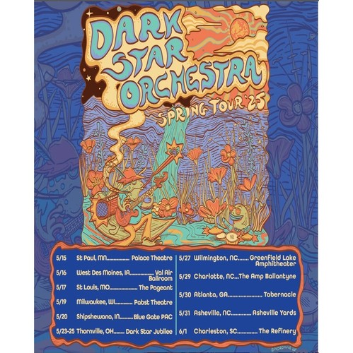 Poster Dark Star Orchestra Spring 2025 Tour Poster, gift for fans - Picture 1 of 8