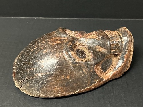 SKULL PAPERMACHE MOLD #138 - Picture 8 of 10