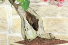 Foto 5 di 8