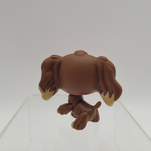 Littlest Pet Shop #958 #959 #960 #961 Sassiest Pets Toys R Us Exclusive - Bild 17 von 24