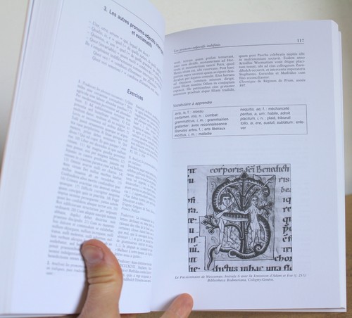 Mittelalter Latein lernen Goullet Parisse 2005 Handbuch für große Anfänger - Bild 6 von 6