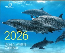 2026 Ocean Wildlife Wall Calendar