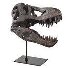T Rex Skull, Dinosaur Statue Resin Replica Head Sculptures, Home Office Decorati