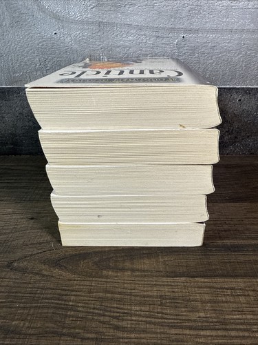 Das Klerikerquintett / R.A. Salvatore / komplett / Bücher 1-5 / Taschenbuch - Bild 4 von 6
