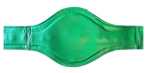 Manny Pacquiao Autograph Signed WBC Championship Belt Replica With PSA COA - Picture 7 of 10