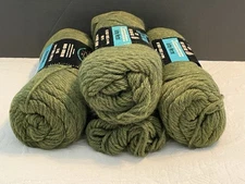 VTG Brunswick 3.5 Skeins 100% Wool German Town Worsted Green Yarn 4 oz ea
