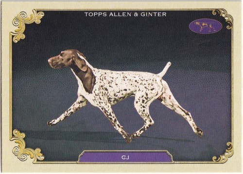 2024 Topps Allen & Ginter Stars of the Show Insert Set Singles - Bild 15 von 42