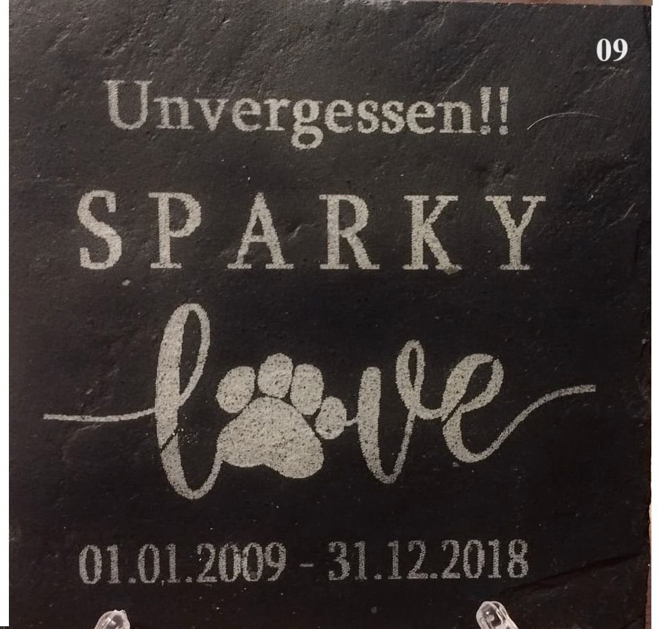Bild 10 von 23