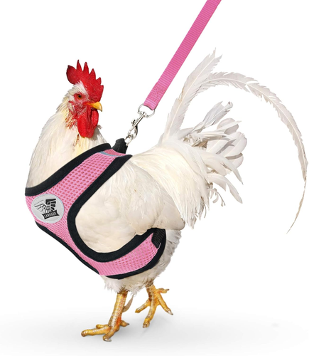 Adjustable Chicken Harness with Leash Small Pet Harness for Duck Goose Hen Trani