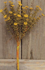 10-1/2" Fall Mustard Astilbe Floral Pick Decor Accent