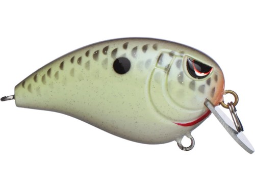 SPRO Baby Fat John 50 - Choose Color 0-2ft - Picture 5 of 5