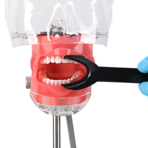 Dental Orthodontic Cheek Lip Retractor Double-Head Mouth Opener Photography - 第 162/244 張圖片