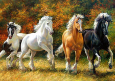 Free Wild Horses Stallions Pony western autumn ceramic tile mural backsplash