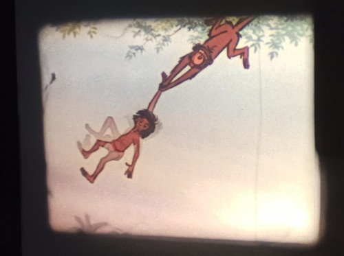 The Jungle Book, Das Dschungelbuch Super 8 deutsch & english - Bild 3 von 6