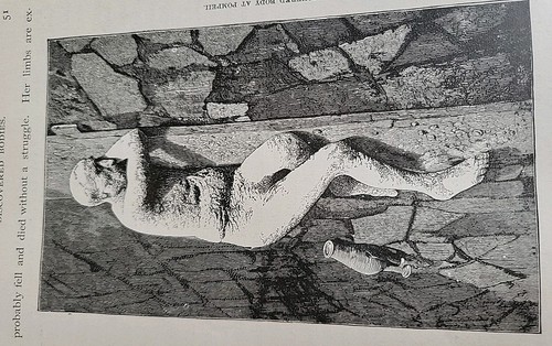 Rare 1880 MUSEUM OF ANTIQUITY Book. Illustration Clean Pages. Loose Binding - Picture 13 of 24