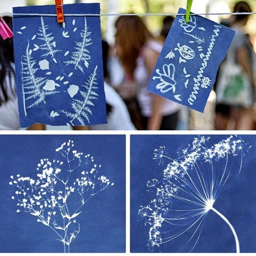 24PCS Easy Drawing Cyanotype Paper Nature Printing Paper for Kids/Adults - Afbeelding 8 van 11