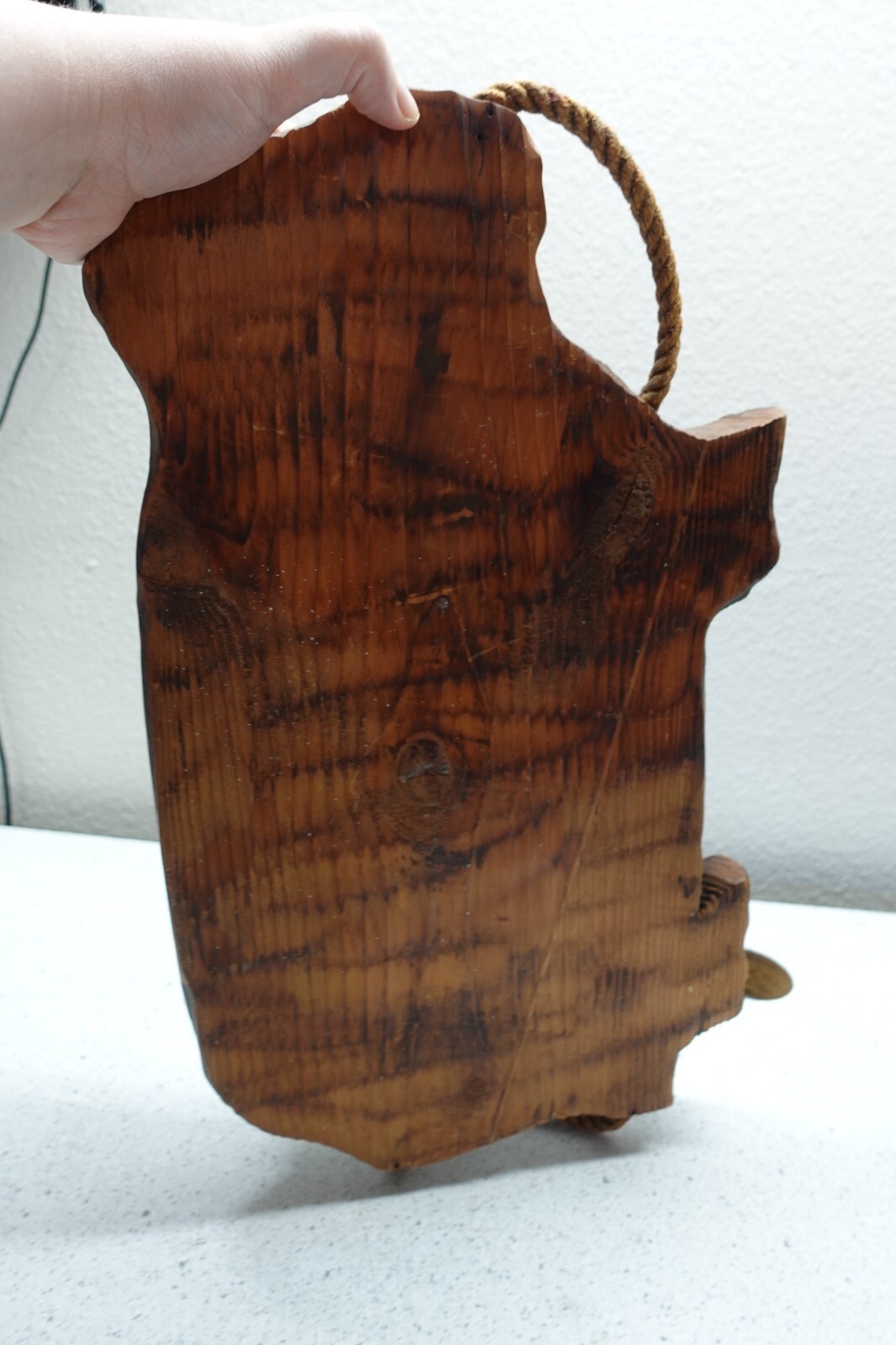 Bild 12 von 12