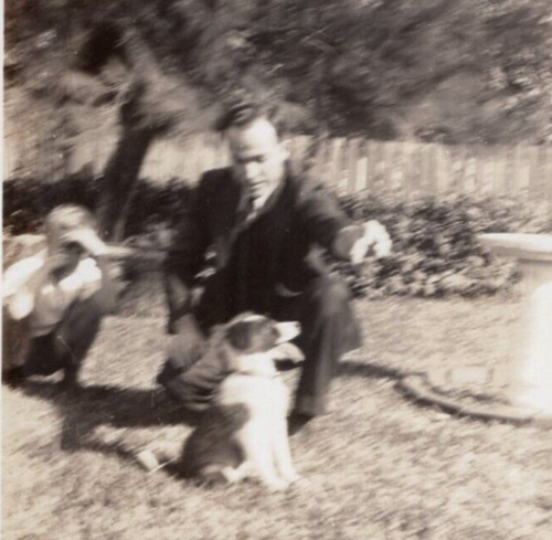 Foto de entrenamiento instantánea de colección cachorro pastor raza perro toma de acción - Imagen 2 de 4