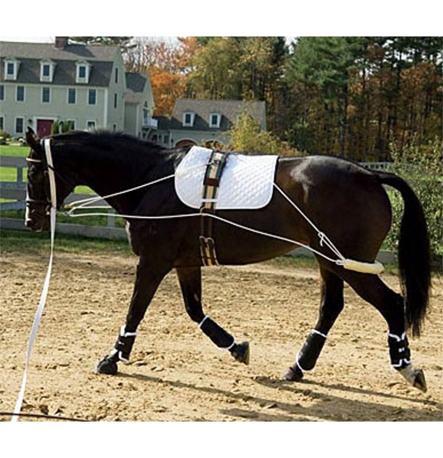 Pessoa Style Horse Training Aid Lunging System Pony Cob Full Draft