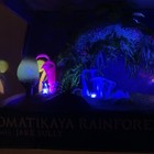Picture 7 of 11