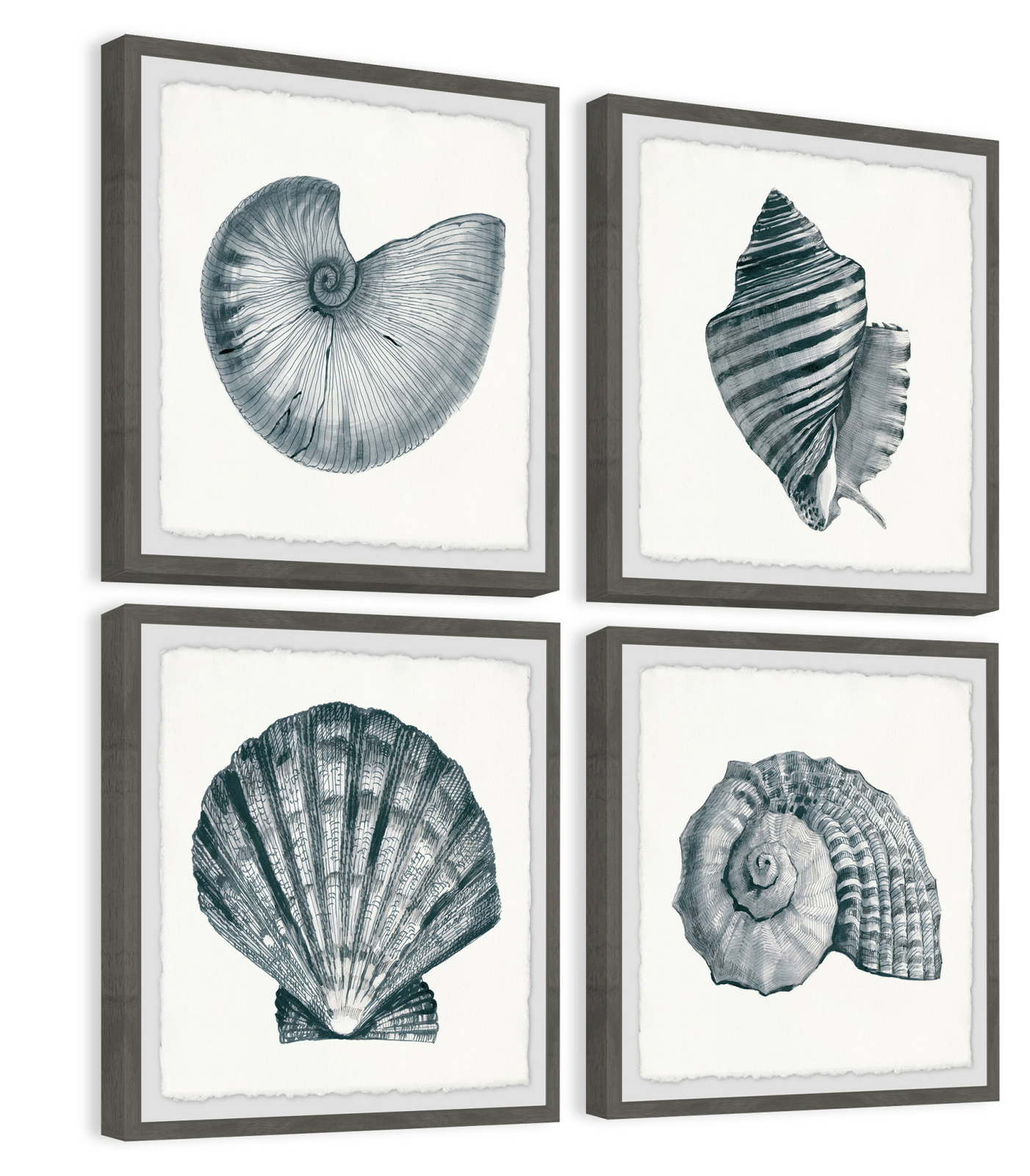 Marmont Hill MH-JULCST-6084-GWFPFL-64 64 x 64 - Four Panel Framed Giclee Shell Marmont Hill MH-JULCST-6084-GWFPFL-64 64 x 64 - Four Panel Framed Giclee Shell