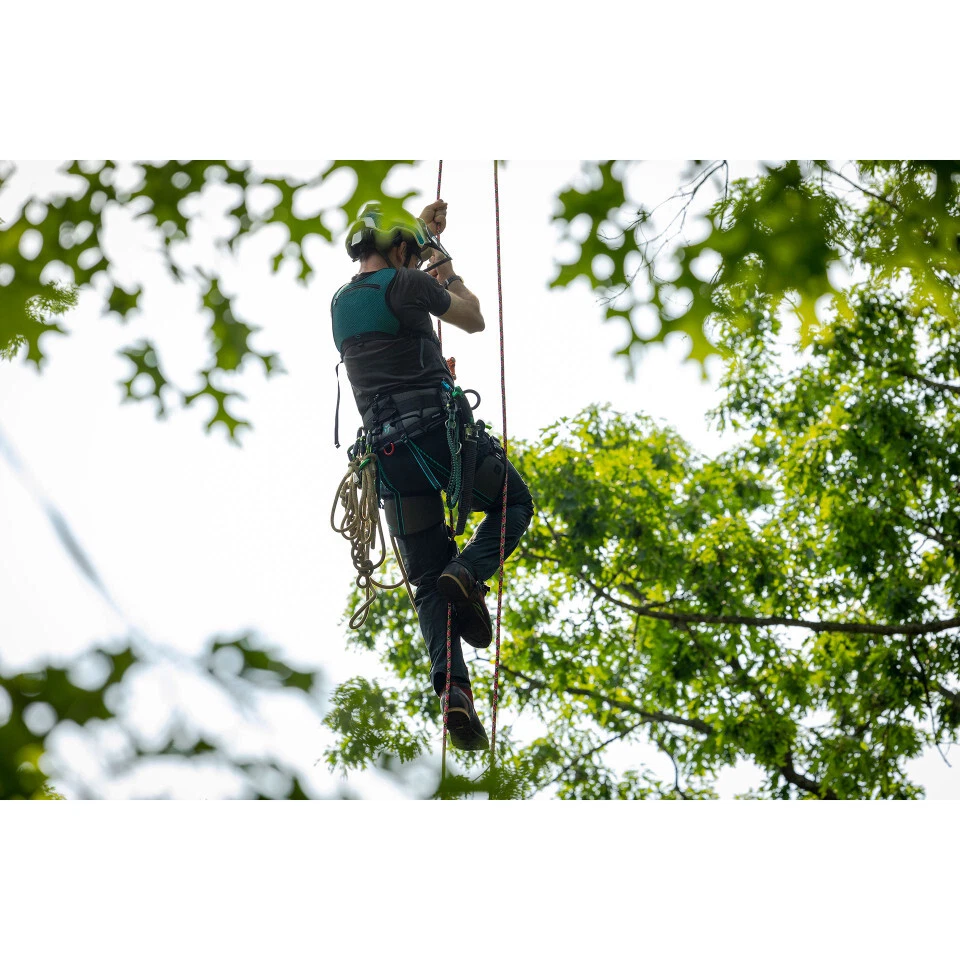 SILLÍN CATALIZADOR MUESCA CATH TALLA 1 Y 2 Foto 2 de 4