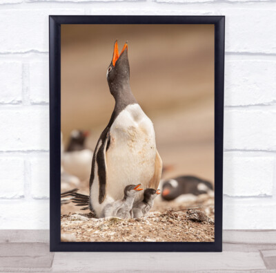 Pinguin Pinguine Entlein Entenküken süß jung Neugeborenes Bokeh Wandkunstdruck