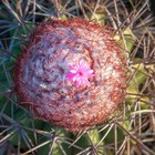 Bild 5 von 5