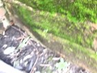 Picture 3 of 4