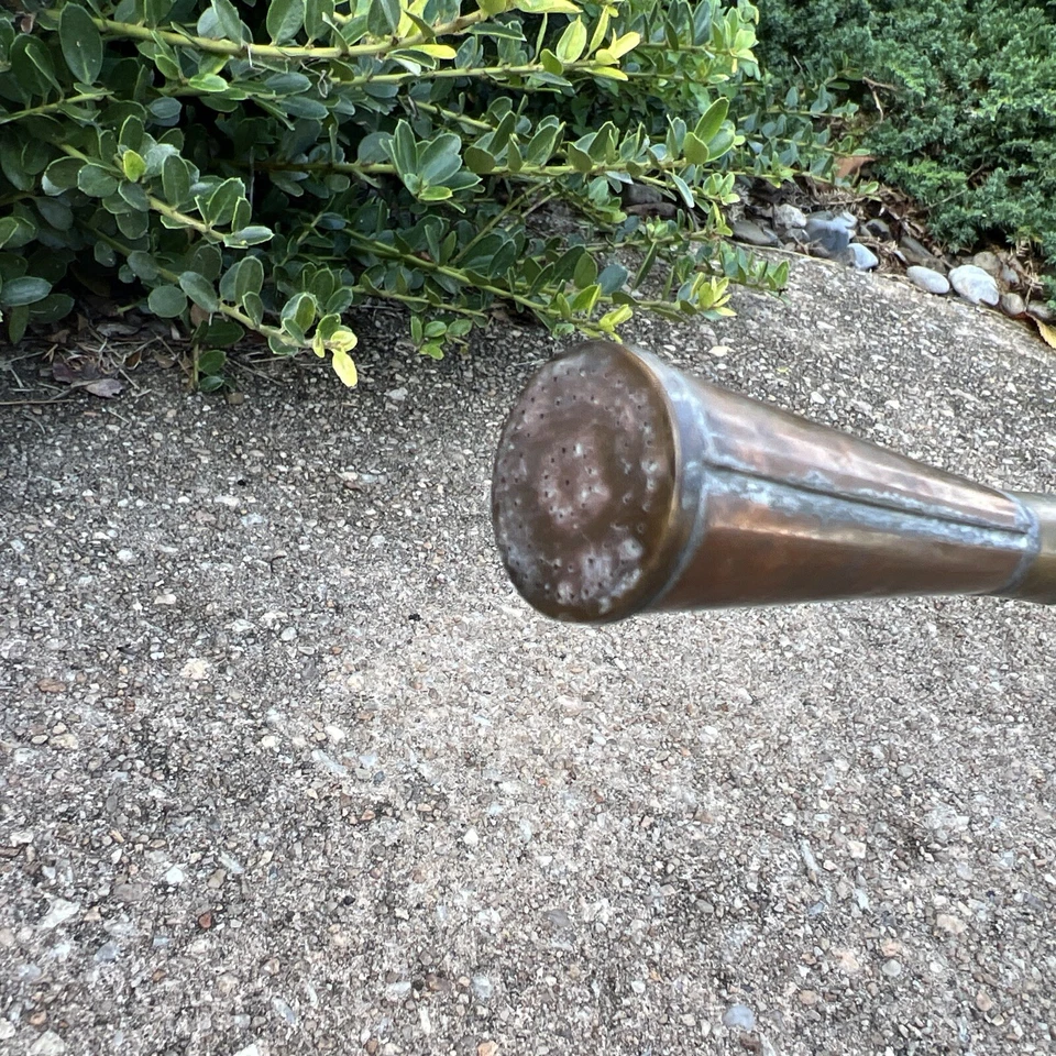 Bonsai Cobre Estilo Británico Riego 2’ De Colección 5x5” 1.5 Negishi Foto 2 de 4