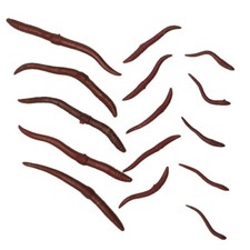 15pc POP UP FLOATING WORMS 3 SIZES LOB EARTH WORM ARTIFICIAL WORMS