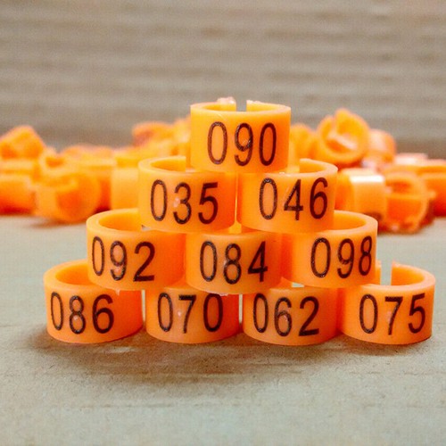 100 Pcs Chicks Rings Clip Poultry Leg Band Bird Pigeon Parrot 1-100 Numbered 8mm - Picture 16 of 17