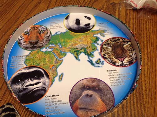 Animal Endangered Species Cup & Saucer set, 5 jungle animals, new - Picture 3 of 6