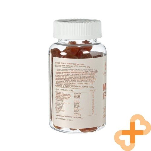 GAMTOS NAMAI Multivit Family 60 Gummies Berry Flavor Immunity Nervous System - Picture 15 of 24