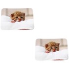  2 Count Teppichboden Teppichpolster Glasendes Widerstandsfähiges