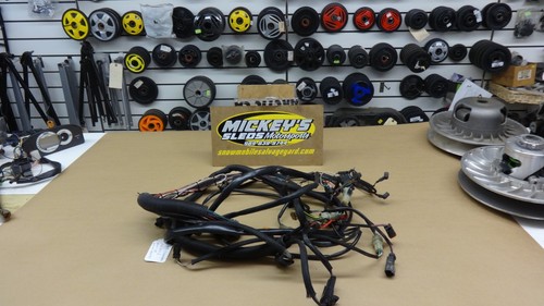 Arnés de cableado OEM A/C Tigershark 3008-579 1999 Tigershark TS1100LI TS 1100 LI - Imagen 1 de 11